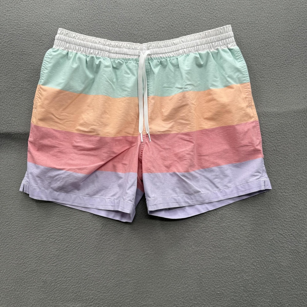 Chubbies Swim Trunks Mens Large Multicolor Stripe 5.5 Inseam Lined Stretch